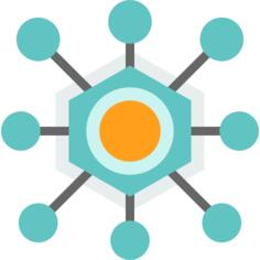 Network