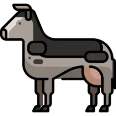 Cow