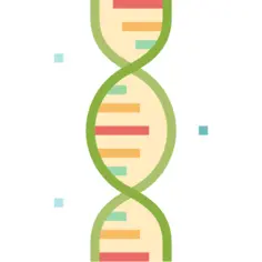 Dna