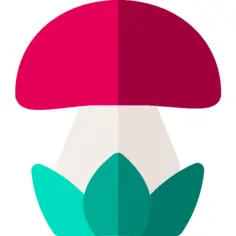 蘑菇