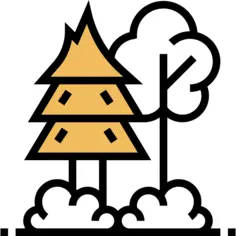 森林