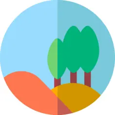森林