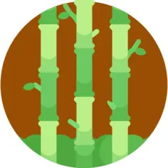 竹