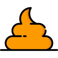 Poo