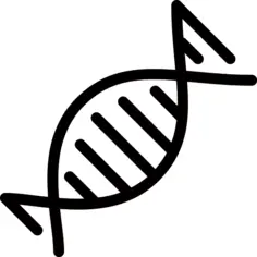 Dna