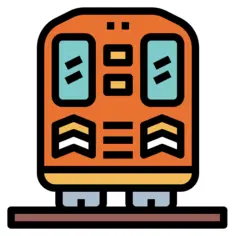 背部