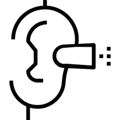 Ear