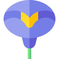 花
