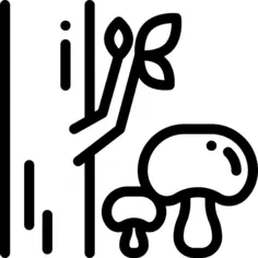 Mushroom