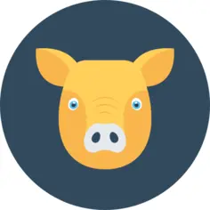 Pig