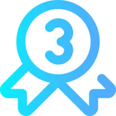 Bronze medal