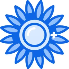 向日葵