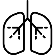 肺