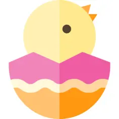 鸡