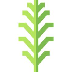 Renewable energy