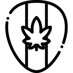 吉他拨片