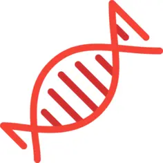 Dna