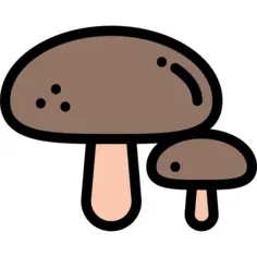 蘑菇