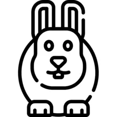 兔子