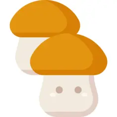 蘑菇
