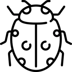 Ladybug