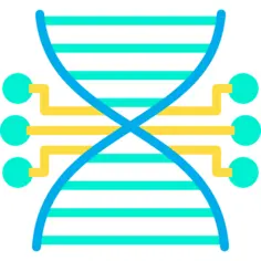 脱氧核糖核酸