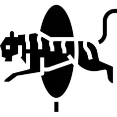 虎