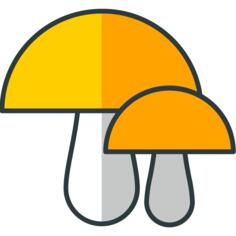 蘑菇