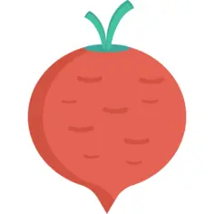 芜菁