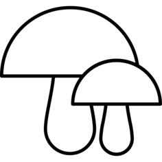 蘑菇