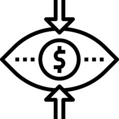 Vision