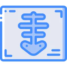 X射线