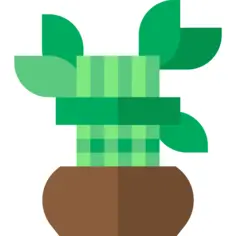 Bamboo