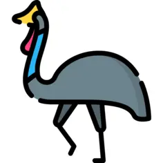 Cassowary