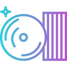 Vynil