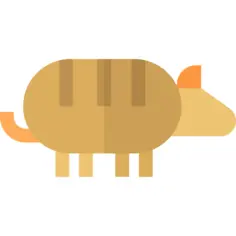 Armadillo
