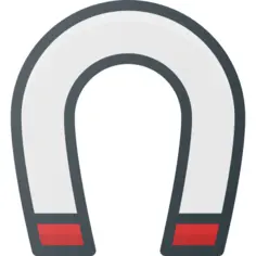 Magnet
