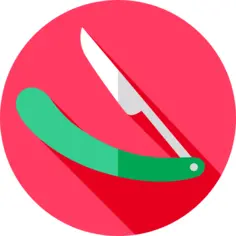 Razor