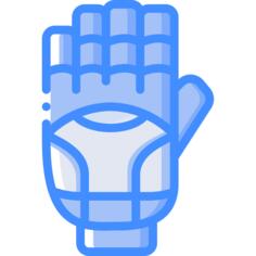Glove