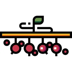 Berries
