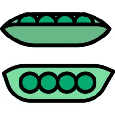 Beans