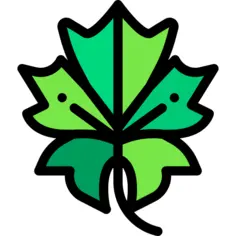 Leaf