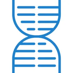 Dna