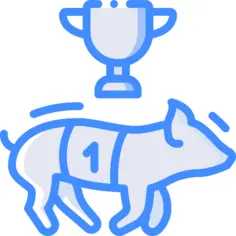 种族