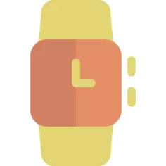Wristwatch