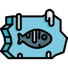 鱼