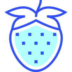 浆果