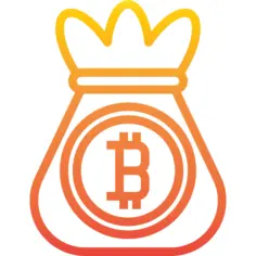 Bitcoin bag