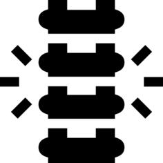 Spine