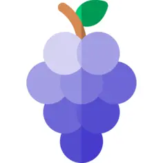 浆果